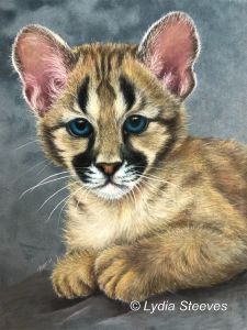 Little Cougar Cub CP Online Class